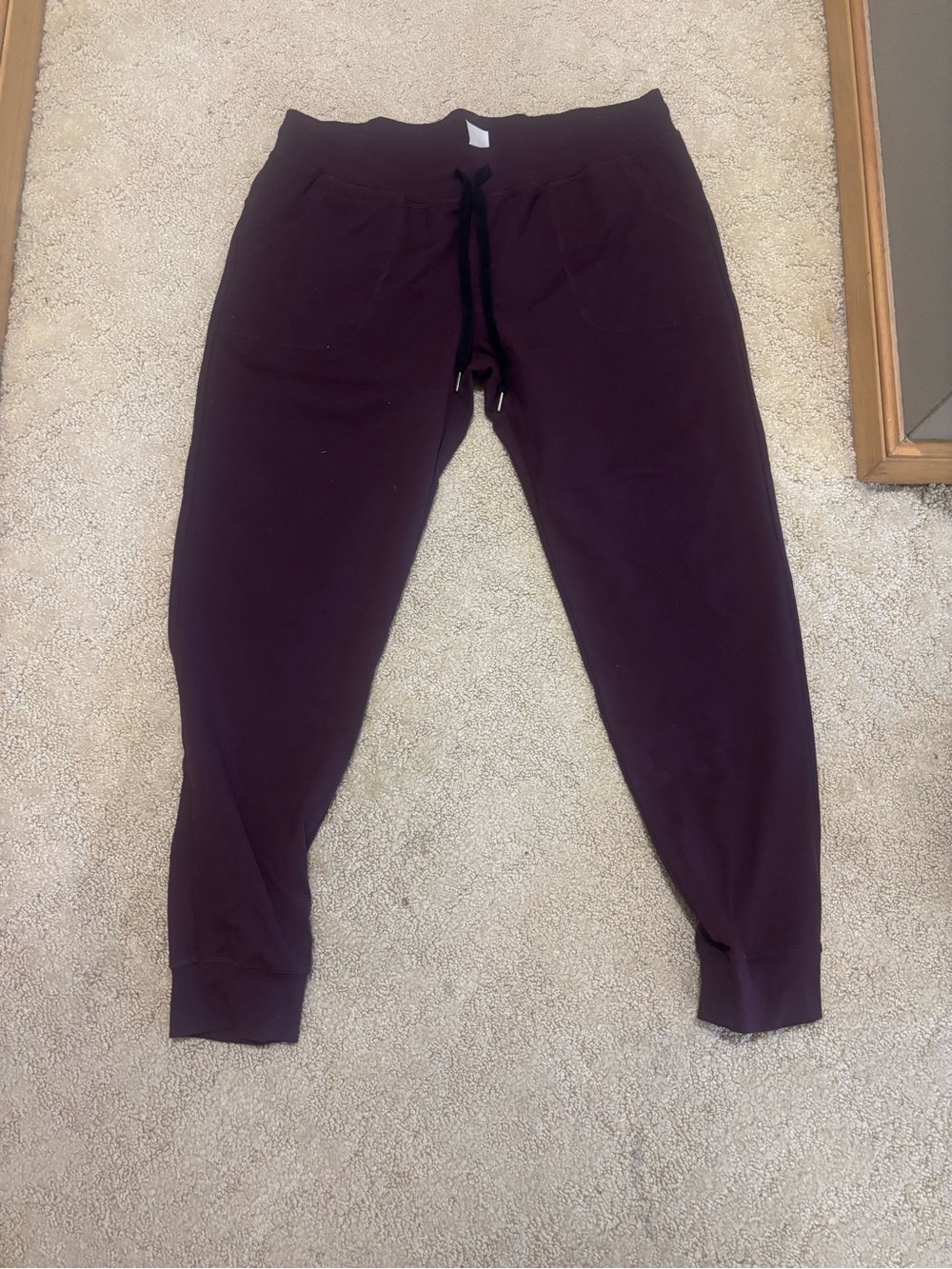 ZYIA Active Deep Plum joggers